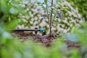 Kvapač Gardena MicroDrip System 13307-20 (25 ks) 

 obrázok produktu 3 z 5