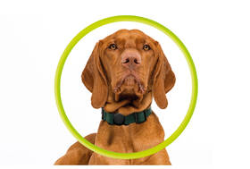Puzdro Mobile Origin AirTag Pet Collar čierny

 obrázok produktu 6 z 10