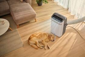Mobilná klimatizácia Sencor SAC MT1270C EXTRASILENT, 12 000 BTU/h biela

 obrázok produktu 9 z 19