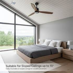 Ventilátor stropný Rohnson R-8160 čierny/hnedý

 obrázok produktu 12 z 13