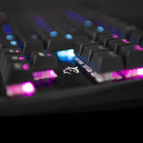 Klávesnica White Shark SPARTAN, US layout, Blue Switch čierna

 obrázok produktu 5 z 5