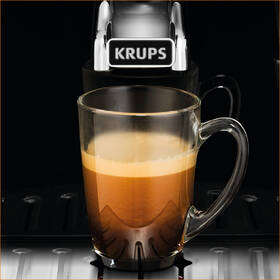 Automatický kávovar Krups EA817010 čierny

 obrázok produktu 5 z 10