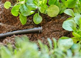 Koncovka Gardena MicroDrip System 4,6 mm (10 ks) 

 obrázok produktu 3 z 4