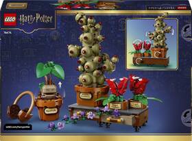 Stavebnica LEGO® Harry Potter™ 76474 Rostliny z hodiny bylinkářství v Bradavicích 

 obrázok produktu 7 z 8