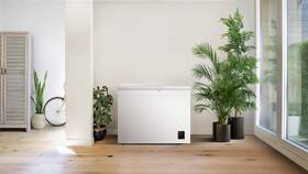 Mraznička Gorenje FH25C6W5 biela

 obrázok produktu 4 z 4