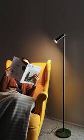 Stojacia lampa IMMAX LED TIT čierna

 obrázok produktu 4 z 5