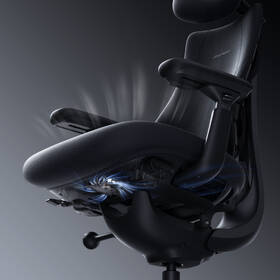 Ergonomická stolička LiberNovo Omni Pro Graphite, 48cm 

 obrázok produktu 9 z 17