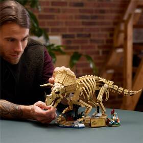 Stavebnica LEGO® Jurassic World  77985 Dinosaurie fosílie: Triceratops 

 obrázok produktu 5 z 9