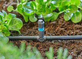 T-spojka Gardena MicroDrip System 4,6 mm (5 ks) 

 obrázok produktu 3 z 5