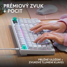 Klávesnica Logitech G316 X 98, US INT'L layout biela

 obrázok produktu 15 z 18
