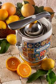 Lis na citrusy Ariete 413/PO 

 obrázok produktu 8 z 9