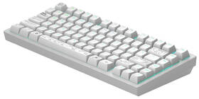 Klávesnica Dark Project ALU Terra Nova R2  US biela

 obrázok produktu 2 z 8