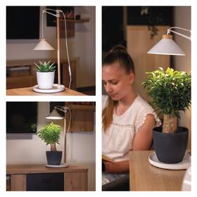 Lampa na pestovanie EMOS interiérová, 7 W, LED integrované, IP20 biela

 obrázok produktu 8 z 9