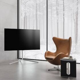 Televízor LG OLED55C12 

 obrázok produktu 11 z 13