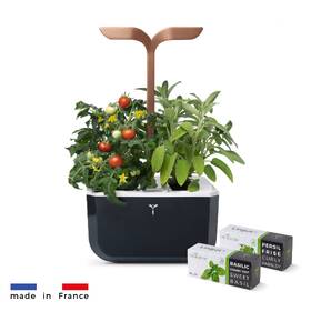 Inteligentný kvetináč Véritable Exky SMART čierny/medený

 obrázok produktu 2 z 7