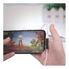 Redukcia WG Lightning/3,5 mm Jack čierna

 obrázok produktu 2 z 3