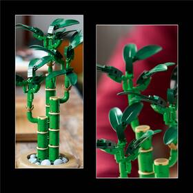 Stavebnica LEGO® Botanicals 10344 Bambus štěstí 

 obrázok produktu 5 z 9
