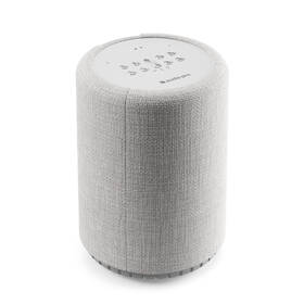 Reproduktor Audio Pro G10 sivý

 obrázok produktu 1 z 8
