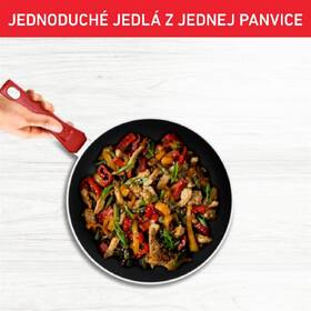 Panvica Tefal C2890202, 20 cm 

 obrázok produktu 6 z 10