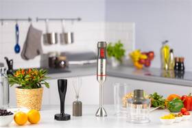 Ponorný mixér Zelmer ZHB4652 strieborný

 obrázok produktu 6 z 12