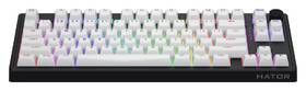 Klávesnica HATOR Skyfall 80 Wireless, US layout čierna/biela

 obrázok produktu 2 z 7