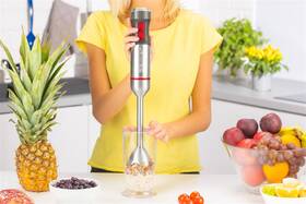 Ponorný mixér Zelmer ZHB4652 strieborný

 obrázok produktu 11 z 12