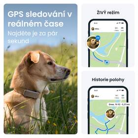 GPS lokátor Tractive DOG 6 hnedý

 obrázok produktu 1 z 10