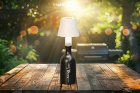 Vonkajšia lampička Fischer & Honsel na fľašu, Fiocco, 1x LED, 2,0 W biela/béžová

 obrázok produktu 2 z 2