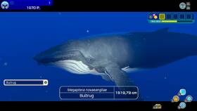 Hra Nintendo Switch Endless Ocean Luminous 

 obrázok produktu 8 z 9