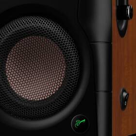 Reproduktory Swan D100 (2 ks) hnedé

 obrázok produktu 5 z 12