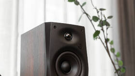 Reproduktory Swan D1100 (2 ks) hnedé

 obrázok produktu 12 z 14
