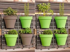  Delimano WALL GREEN 

 obrázok produktu 2 z 4