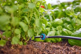 Zavlažovací systém Gardena MicroDrip System 13330-20 

 obrázok produktu 6 z 8