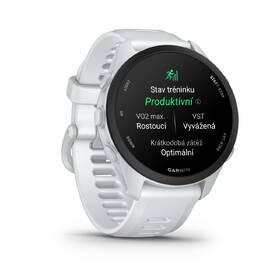Inteligentné hodinky Garmin Forerunner 70 sivé

 obrázok produktu 9 z 12