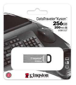 USB flashdisk Kingston DataTraveler Kyson 256GB strieborný

 obrázok produktu 3 z 3
