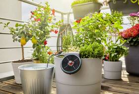 Zavlažovací systém Gardena AquaBloom 

 obrázok produktu 17 z 17