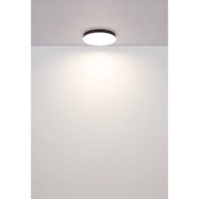LED stropné svietidlo GLOBO Matthew, 24W, teplá/neutrálna/studená biela biele

 obrázok produktu 4 z 5