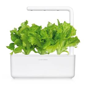 Semienka Click and Grow Hlávkový šalát - 3 ks 

 obrázok produktu 3 z 3