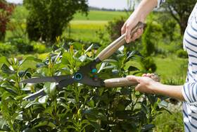 Nožnice na živý plot Gardena 967988901 NatureCut 

 obrázok produktu 4 z 5
