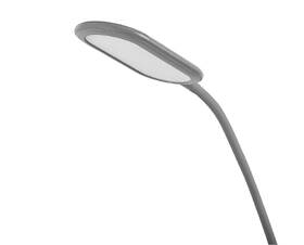 Stojacia lampa Rabalux Adelmo 74010 sivá

 obrázok produktu 2 z 8