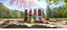 Stolný mixér Concept SM4003 Smoothie FitMaker ružový

 obrázok produktu 26 z 26