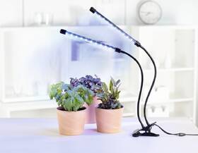 Stolná lampa XAVAX STICK 

 obrázok produktu 3 z 5