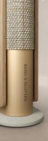Reproduktor Bang & Olufsen Beosound Emerge zlaté

 obrázok produktu 5 z 10