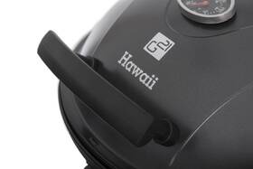  G21 Hawaii BBQ čierny

 obrázok produktu 7 z 19