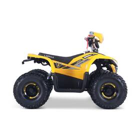 Štvorkolka LAMAX eBumbleBee ATV60M žltá

 obrázok produktu 4 z 6
