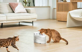 Inteligentná fontána Catlink Pure 3 biela

 obrázok produktu 8 z 9