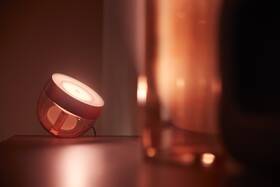 Stolná lampa Philips Iris Copper Special Edition medená

 obrázok produktu 5 z 6