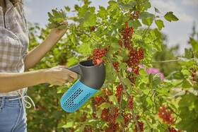 Zberač ovocia Gardena 17400-20 

 obrázok produktu 1 z 2