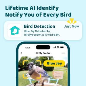 Vtáčie krmítko Birdfy s kamerou (AI doživotne zadarmo) 

 obrázok produktu 1 z 8