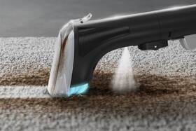 Čistič škvŕn Rowenta IN5011F0 Clean It čierny

 obrázok produktu 18 z 20
